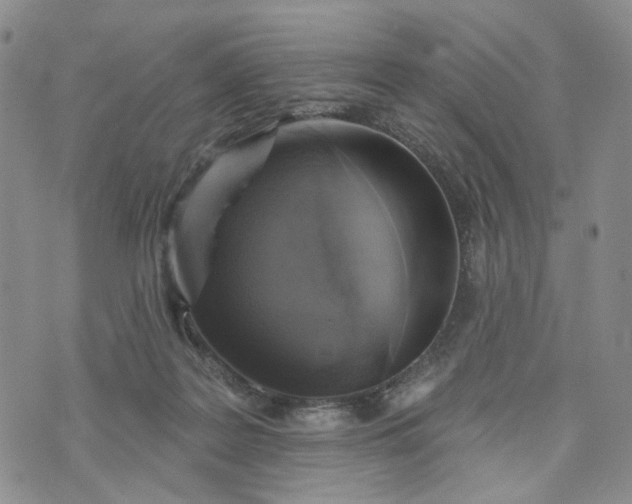 X0000072970219200608041226