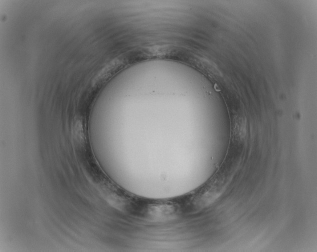 X0000072970220200608041226