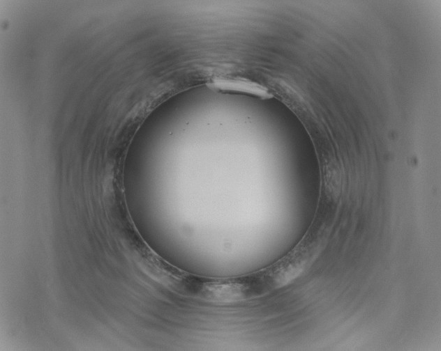 X0000072970221200608041226