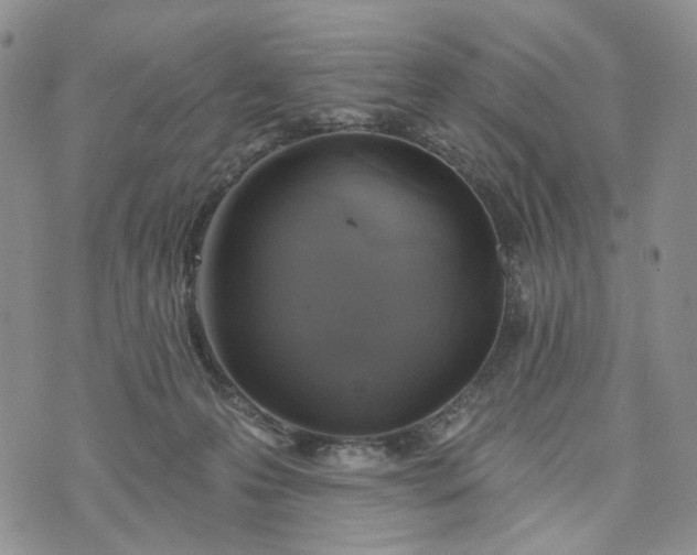 X0000072970223200608041226