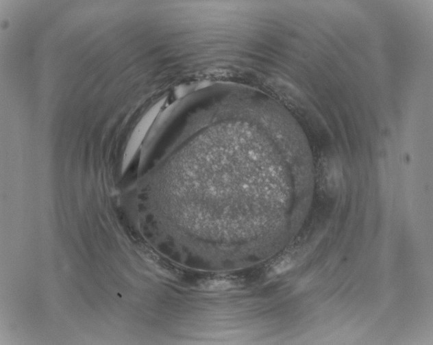 X0000072970224200608041226