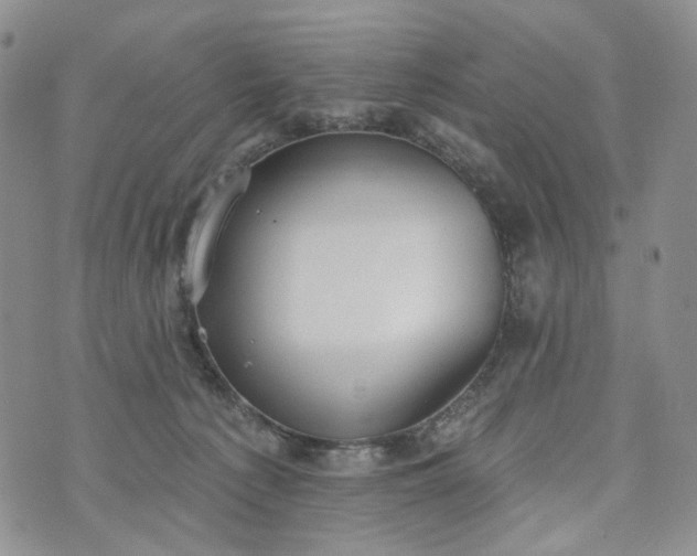 X0000072970225200608041226