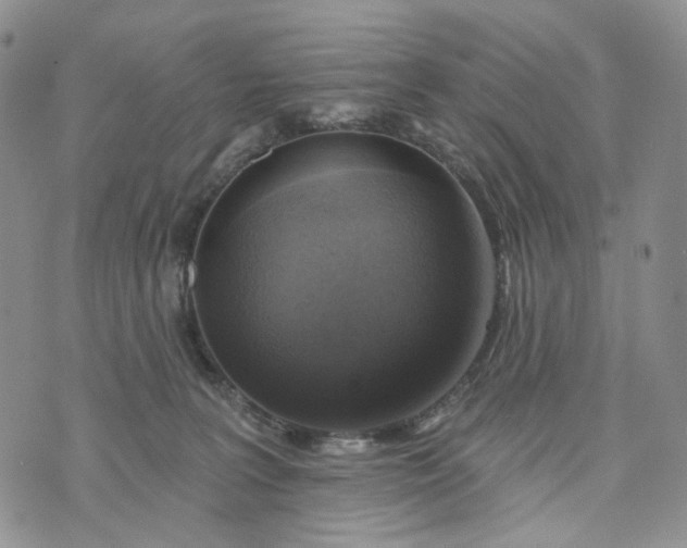 X0000072970227200608041226