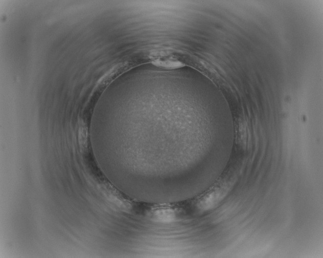 X0000072970228200608041226