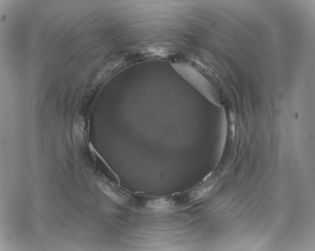 X0000072970231200608041226