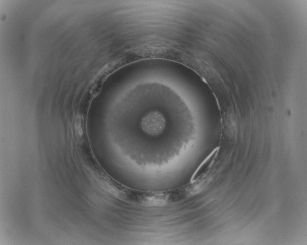 X0000072970232200608041226