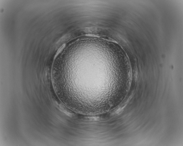 X0000072970233200608041226