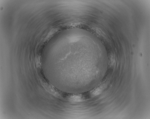 X0000072970236200608041226