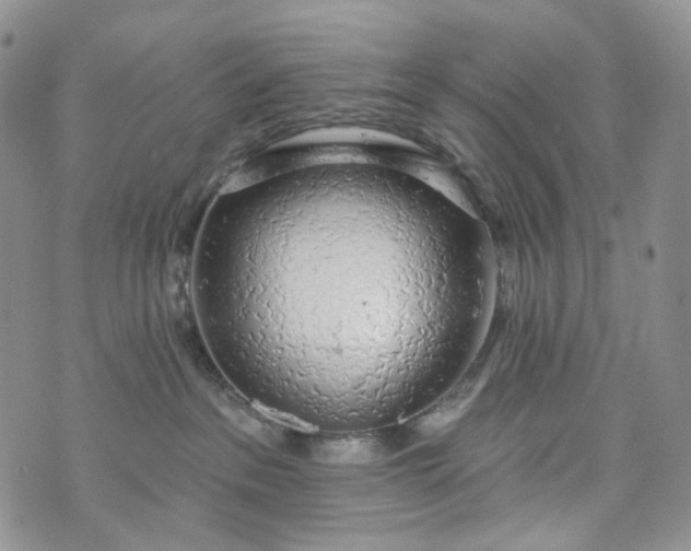 X0000072970237200608041226