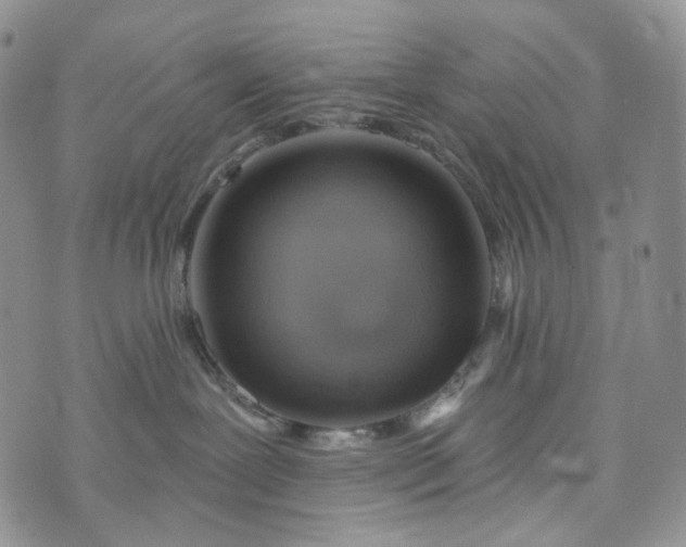 X0000072970239200608041226