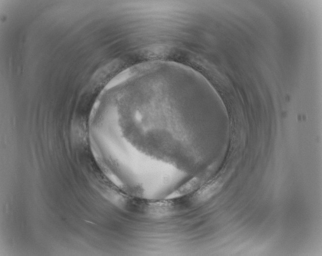 X0000072970240200608041226