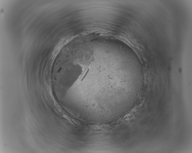 X0000072970241200608041225