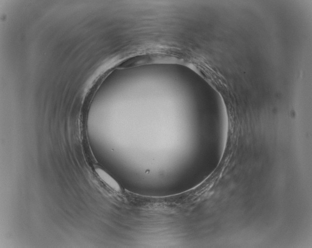 X0000072970244200608041225