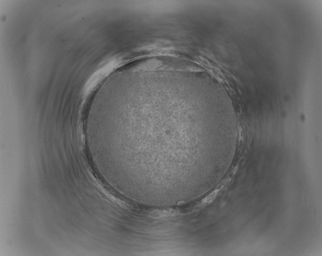 X0000072970245200608041225