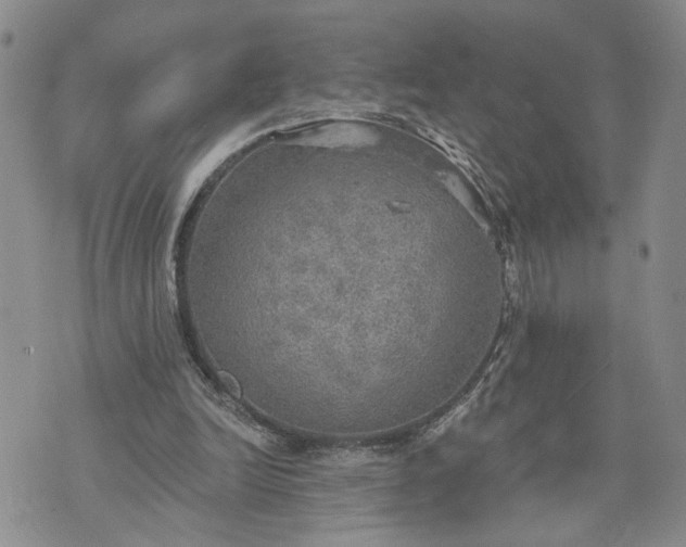 X0000072970246200608041225