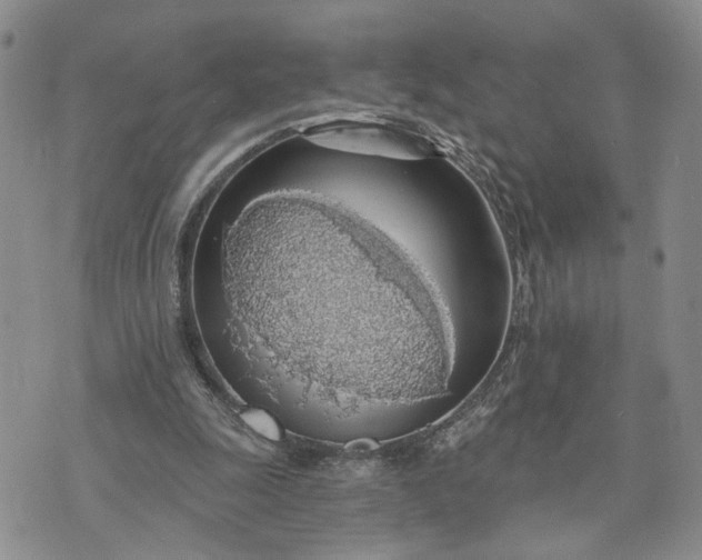 X0000072970247200608041225