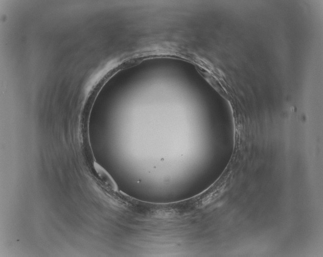 X0000072970248200608041225