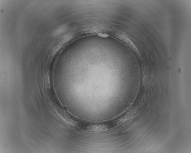 X0000072970251200608041225