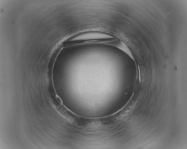 X0000072970252200608041225