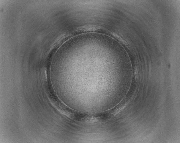 X0000072970254200608041225