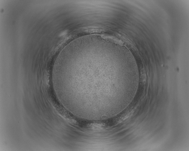 X0000072970255200608041225