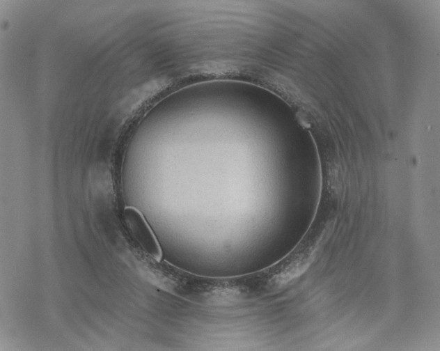 X0000072970256200608041225