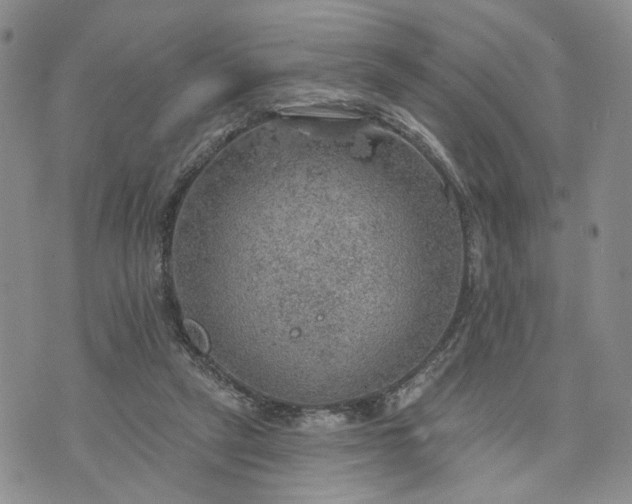 X0000072970257200608041225