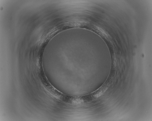 X0000072970258200608041225