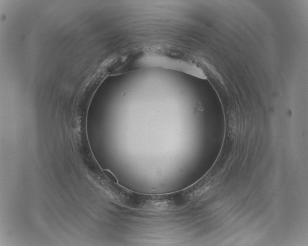 X0000072970260200608041225