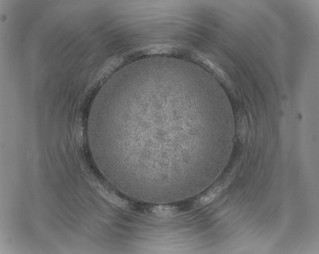 X0000072970261200608041225