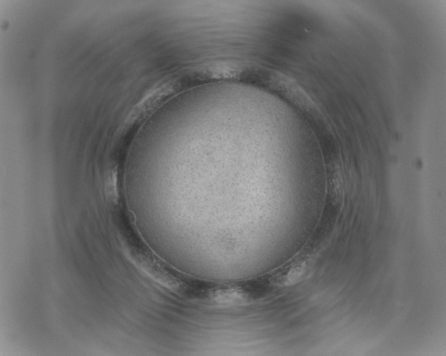 X0000072970262200608041225