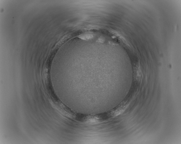 X0000072970263200608041225