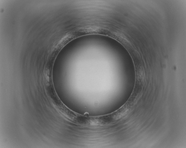 X0000072970264200608041225