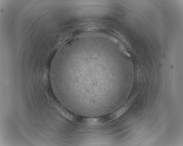 X0000072970265200608041225