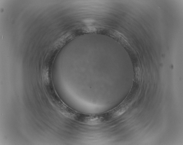 X0000072970267200608041225