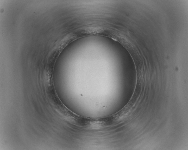 X0000072970268200608041225