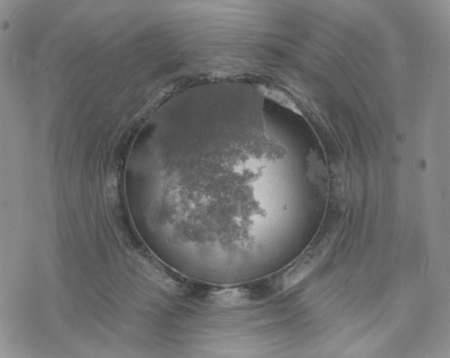 X0000072970269200608041225