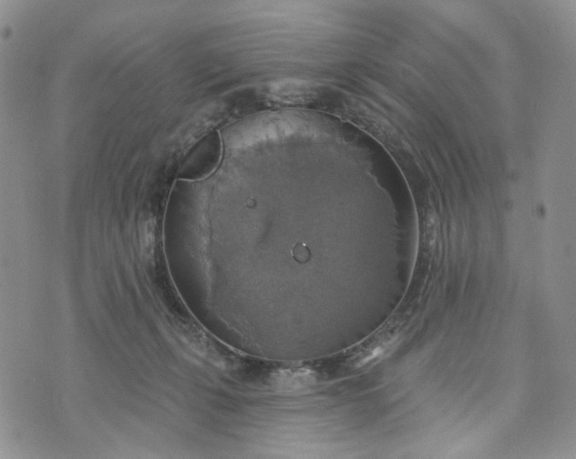 X0000072970271200608041225