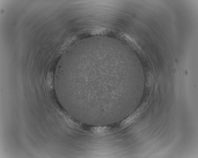 X0000072970273200608041225