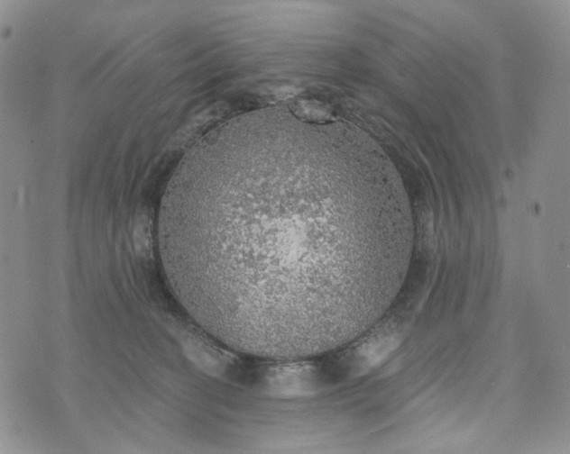 X0000072970274200608041225