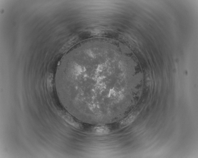 X0000072970275200608041225