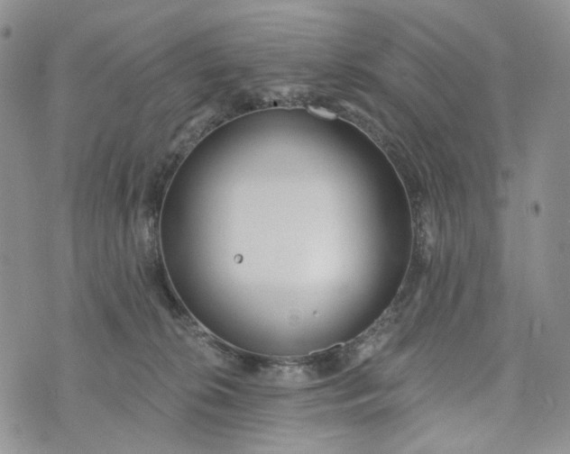 X0000072970276200608041225