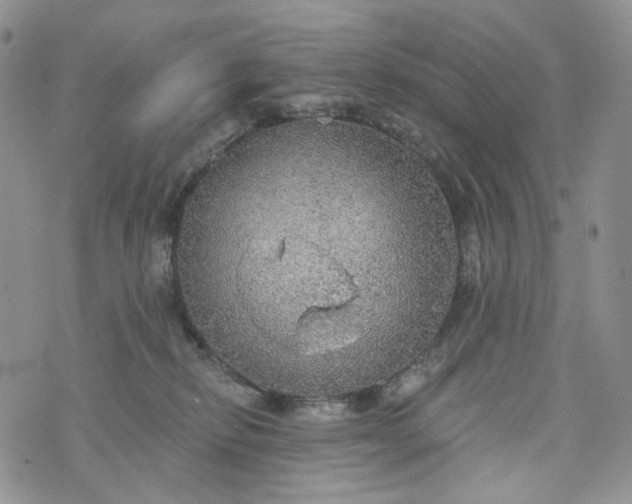 X0000072970278200608041225