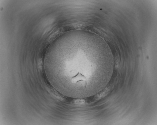 X0000072970279200608041225