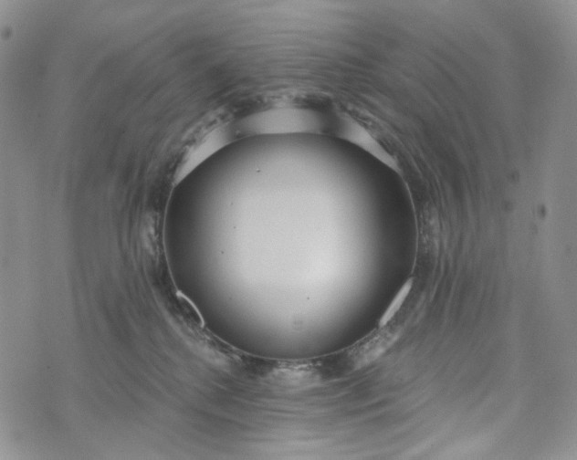 X0000072970280200608041226