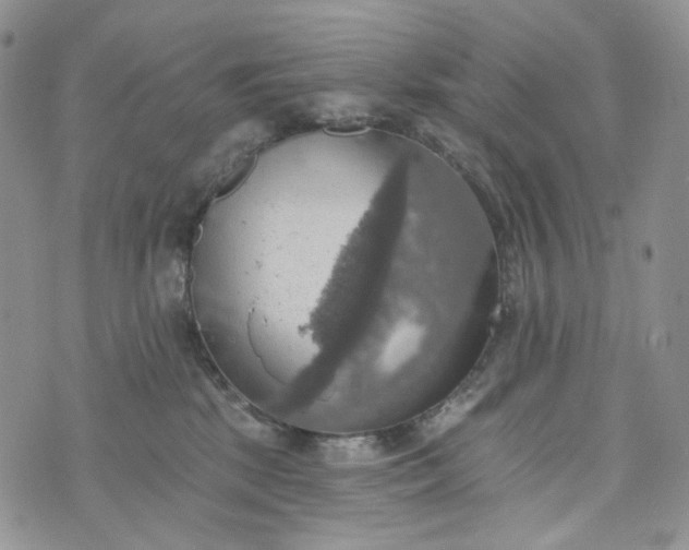 X0000072970281200608041226