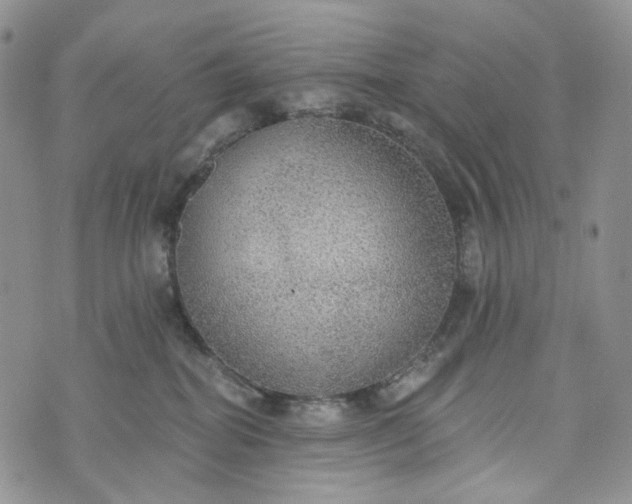 X0000072970282200608041226