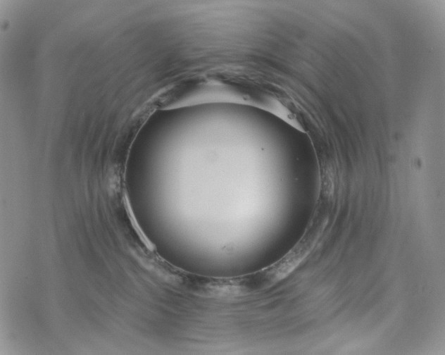 X0000072970284200608041226