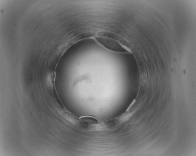 X0000072970286200608041226