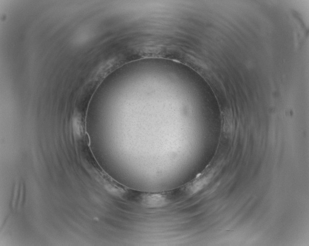 X0000072970287200608041226